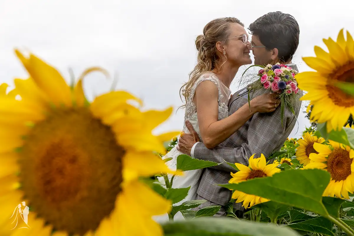 hochzeitsfotograf sachsen best of ten years