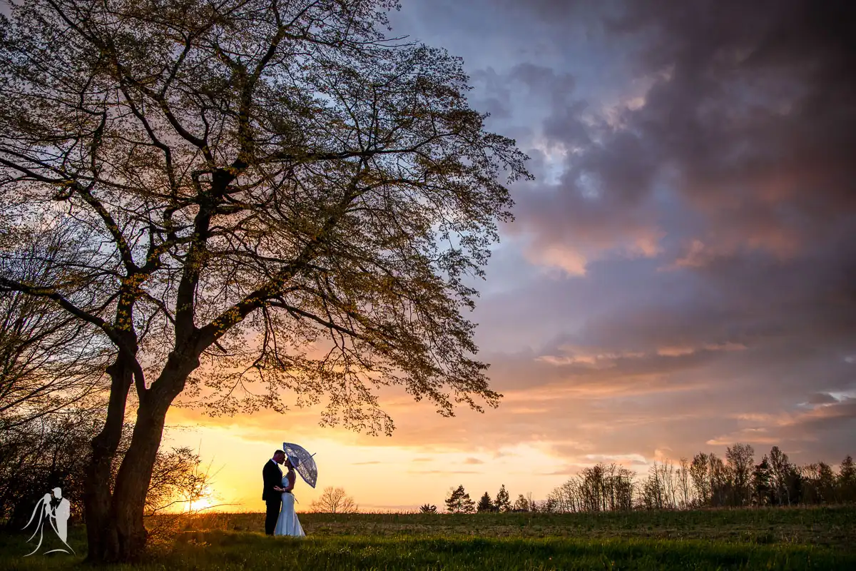 hochzeitsfotograf sachsen best of ten years